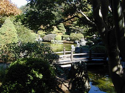 Japanese Garden im Arboretums