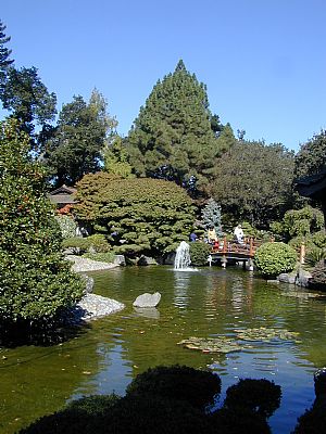 Japanese Garden im Arboretums