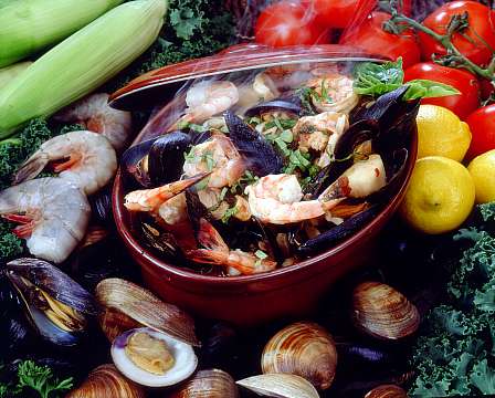 Cioppino